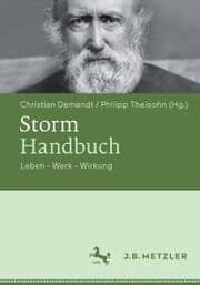Cover von Storm-Handbuch