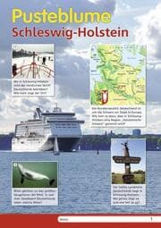 Cover von Pusteblume. Das Arbeitsbuch Sachunterricht - Allgemeine Ausgabe 2013