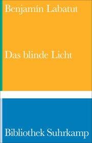 Cover von Das blinde Licht