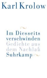 Cover von Im Diesseits verschwinden
