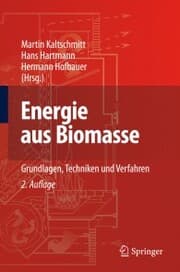 Cover von Energie aus Biomasse