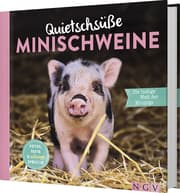 Cover von Quietschsüße Minischweine