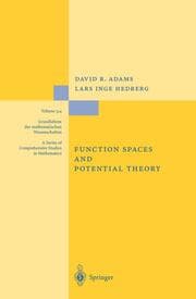 Cover von Function Spaces and Potential Theory
