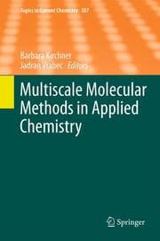 Cover von Multiscale Molecular Methods in Applied Chemistry