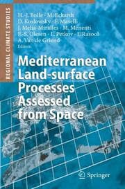 Cover von Mediterranean Land-surface Processes Assessed from Space