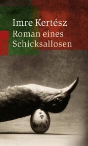 Cover von Roman eines Schicksallosen