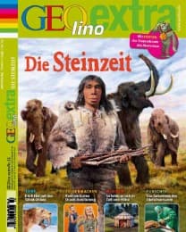 Cover von Die Steinzeit