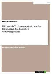 Cover von Effizienz als Verfassungsprinzip aus dem Blickwinkel des deutschen Verfassungsrechts
