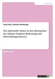Cover von Der informelle Sektor in den Metropolen des Südens: Struktur, Bedeutung und Entwicklungschancen