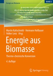 Cover von Energie aus Biomasse