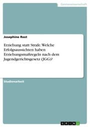 Cover von Erziehung statt Strafe. Welche Erfolgsaussichten haben Erziehungsmaßregeln nach dem Jugendgerichtsgesetz (JGG)?