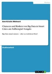 Cover von Chancen und Risiken von Big Data in Smart Cities am Fallbeispiel Songdo