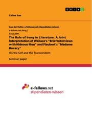 Cover von The Role of Irony in Literature. A Joint Interpretation of Wallace's 'Brief Interviews with Hideous Men' and Flaubert's 'Madame Bovary'