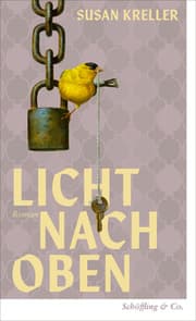 Cover von Licht nach oben