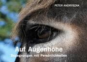 Cover von Auf Augenhöhe