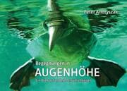 Cover von Begegnungen in Augenhöhe