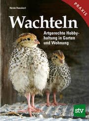 Cover von Wachteln