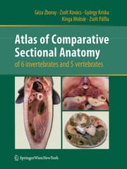 Cover von Atlas of Comparative Sectional Anatomy of 6 invertebrates and 5 vertebrates