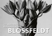Cover von Postkarten-Set Blossfeldt