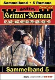 Cover von Heimat-Roman Treueband 5