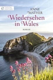 Cover von Wiedersehen in Wales