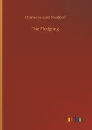 Cover von The Fledgling