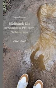 Cover von Bildband: Die schönsten Pfützen Schwerins