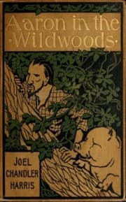 Cover von Aaron in the Wildwoods