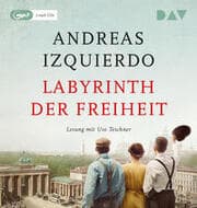 Cover von Labyrinth der Freiheit