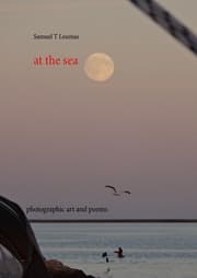 Cover von at the sea