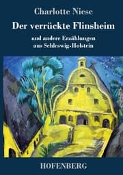 Cover von Der verrückte Flinsheim