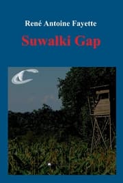 Cover von Suwa¿ki Gap