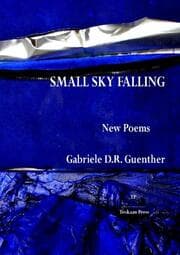 Cover von Small Sky Falling