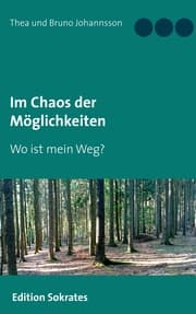 Cover von Im Chaos der Möglichkeiten