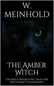 Cover von The Amber Witch