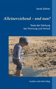 Cover von Alleinerziehend - und nun?
