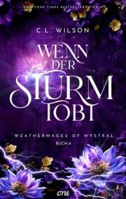 Cover von Wenn der Sturm tobt