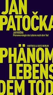 Cover von Phänomenologie des Lebens nach dem Tod