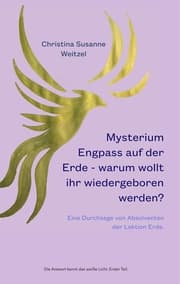 Cover von Mysterium Engpass auf der Erde - warum wollt ihr wiedergeboren werden?