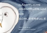 Cover von Nächtliche Abenteuer um die Schleiereule