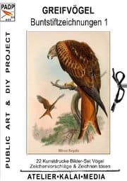 Cover von Greifvögel: Buntstiftzeichnungen 1
