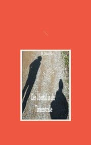 Cover von Der Überfall in der Türkenstraße