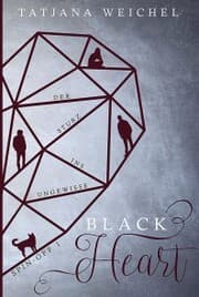 Cover von Der Sturz ins Ungewisse