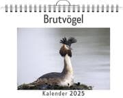 Cover von Brutvögel - (Wandkalender 2025, Kalender DIN A4 quer, Monatskalender im Querformat mit Kalendarium, das perfekte Geschenk)