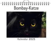 Cover von Bombay-Katze