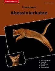 Cover von Traumrasse Abessinierkatze
