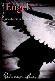 Cover von Engel und ihre finsteren Brüder
