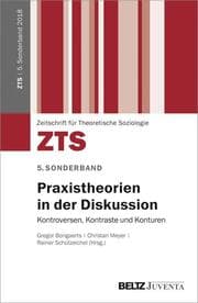 Cover von Praxistheorien in der Diskussion