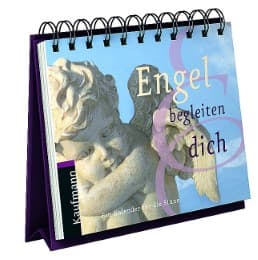 Cover von Engel begleiten dich