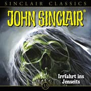 Cover von Irrfahrt ins Jenseits